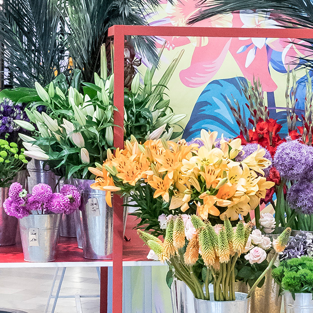 Viele verschiedene und bunte Blumen in Töpfen.