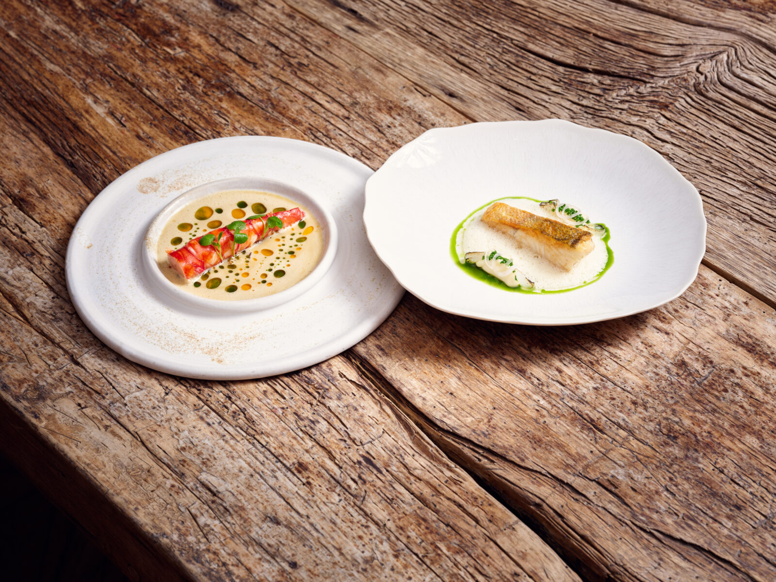 Gourmetgerichte auf rustikalem Holztisch: Ein Teller mit einer Roulade in einer Sahnesauce, garniert mit Kräutern und Öltropfen, daneben ein Teller mit einem Fischfilet, garniert mit grüner Sauce und Kräutern.