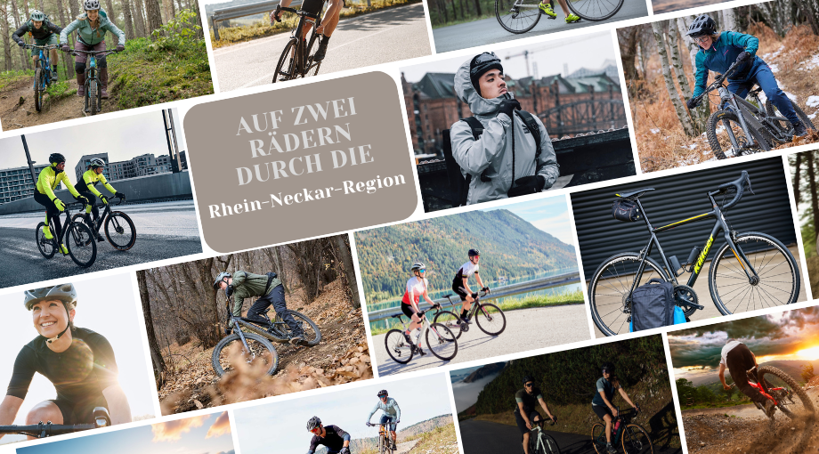 Eine Collage von Radfahrern, die in verschiedenen Outdoor-Umgebungen und Jahreszeiten Fahrrad fahren, mit malerischen Landschaften. Der mittlere Text lautet: AUF ZWEI RÄDERN DURCH DIE Rhein-Neckar-Region. Inspiriert von Fahrrad engelhorn.